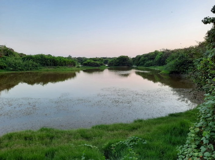 chennai river restoration trust