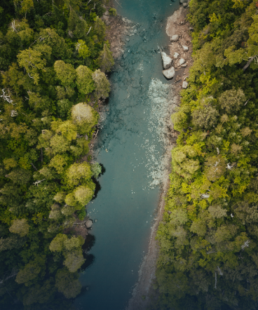 chennai river restoration trust