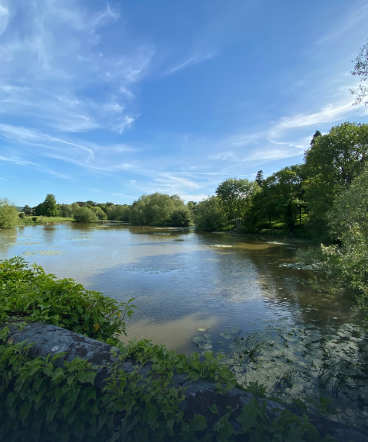 chennai river restoration trust