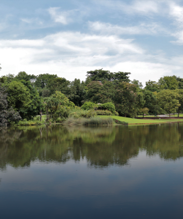 chennai river restoration trust