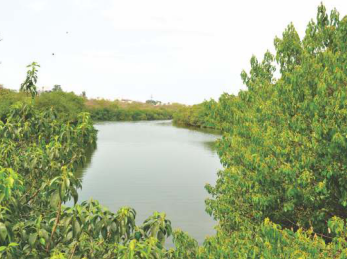 chennai river restoration trust