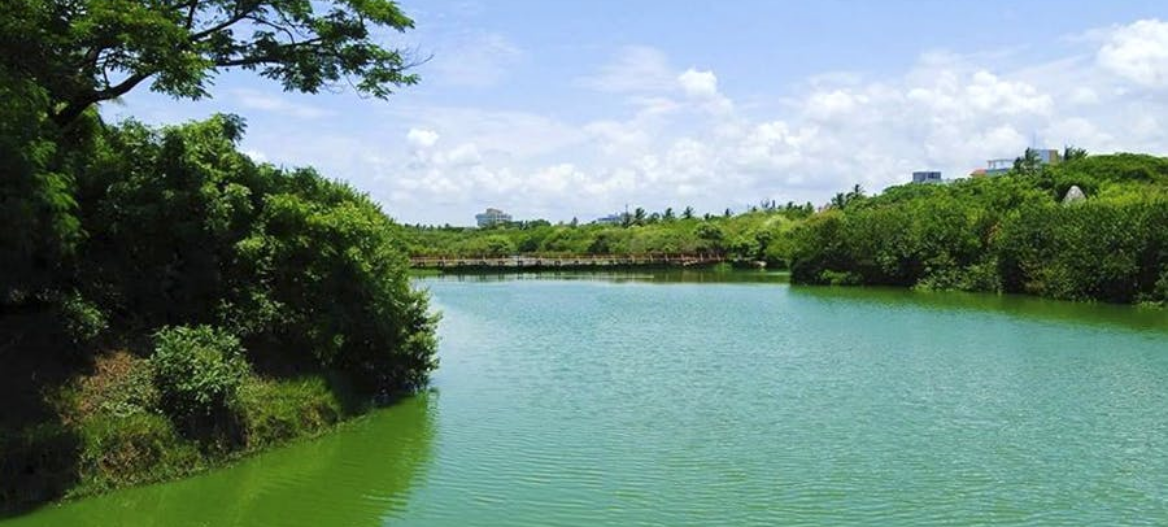 chennai river restoration trust